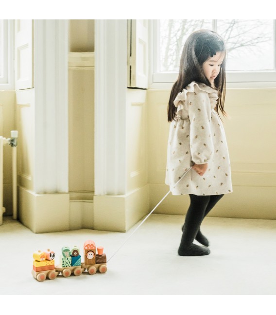 Ξύλινο τρένο Woodland  (FSC®) Orange Tree Toys