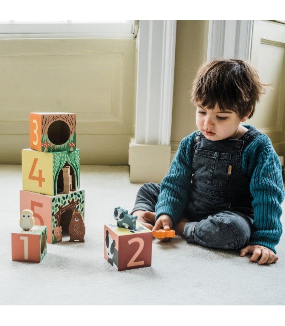Κύβοι Στοίβαξης  woodland Orange Tree Toys