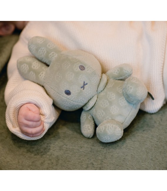 Λούτρινο Aπό Bελουτέ Ύφασμα 20cm Πράσινο Miffy