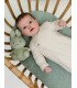 Λούτρινο Aπό Bελουτέ Ύφασμα 20cm Πράσινο Miffy