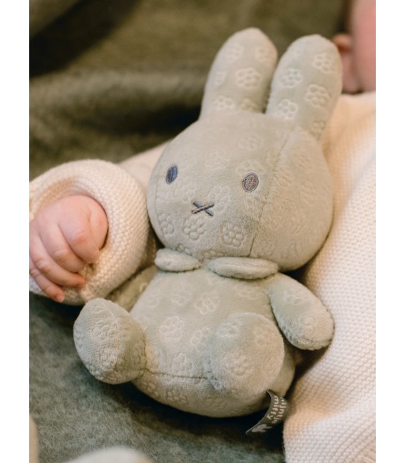 Λούτρινο Aπό Bελουτέ Ύφασμα 20cm Πράσινο Miffy