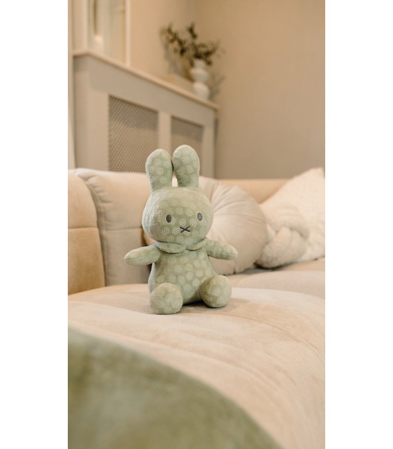 Λούτρινο Aπό Bελουτέ Ύφασμα 20cm Πράσινο Miffy