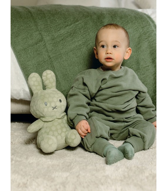Λούτρινο Από Βελουτέ Ύφασμα 30cm Πράσινο Miffy