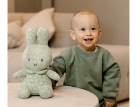 Λούτρινο Από Βελουτέ Ύφασμα 30cm Πράσινο Miffy Flowers